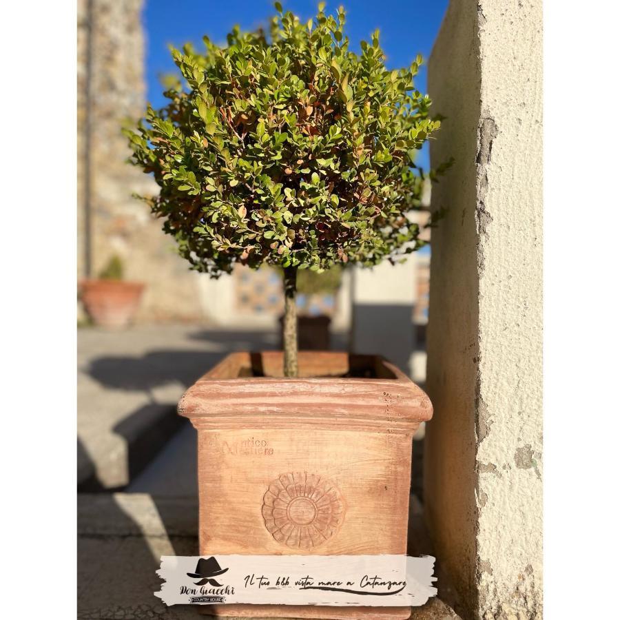 Don Giacchi Country House Catanzaro Bagian luar foto