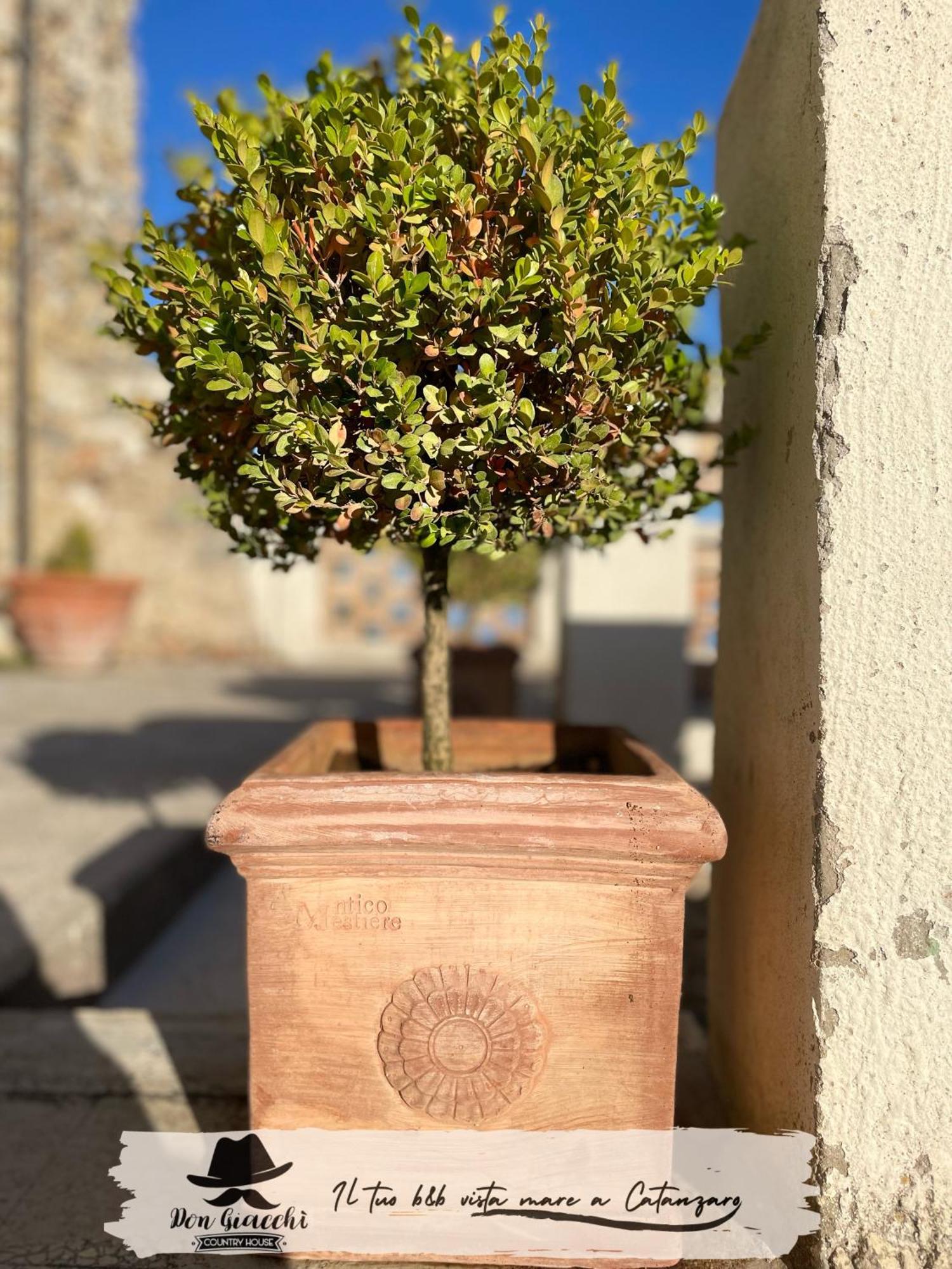 Don Giacchi Country House Catanzaro Bagian luar foto