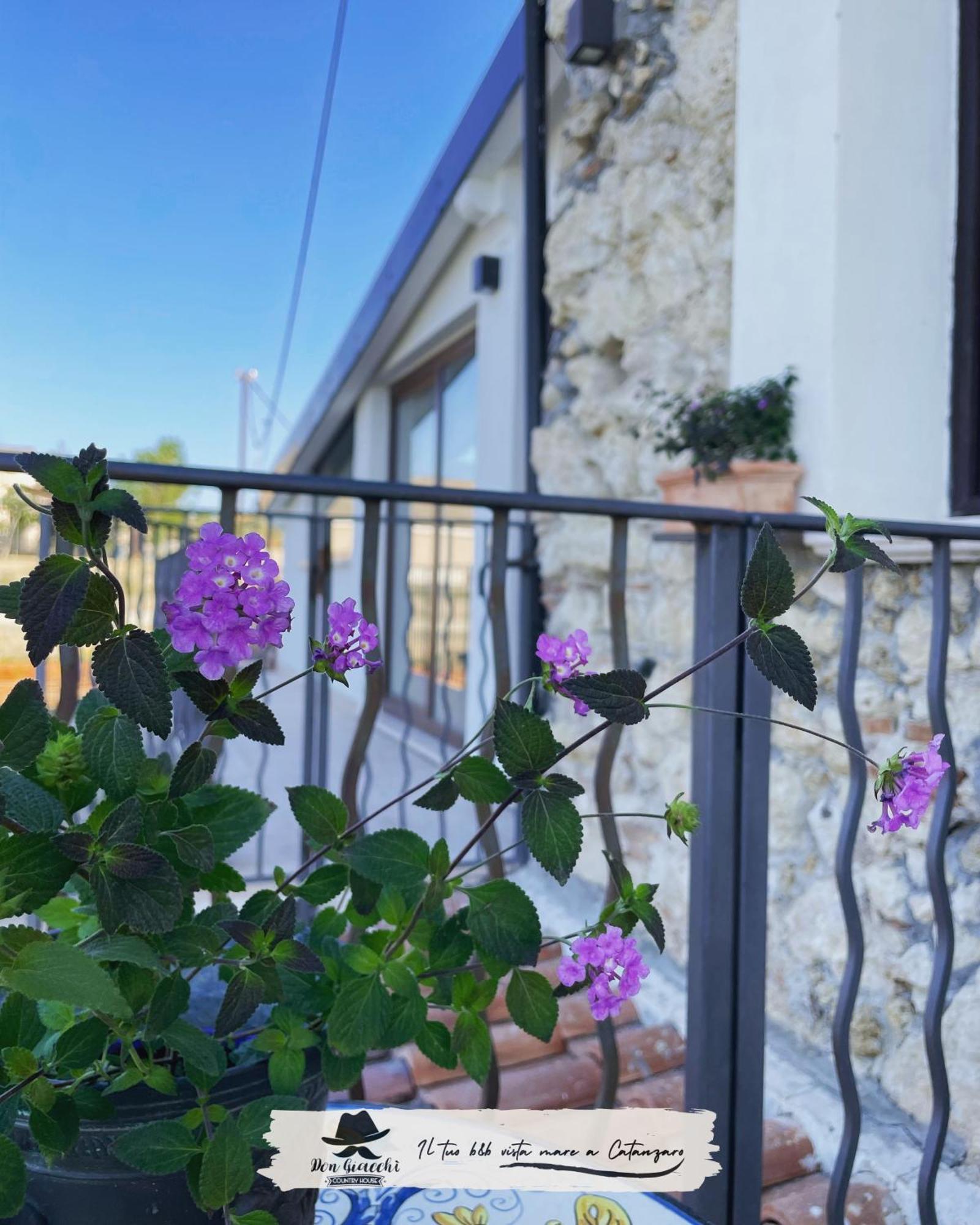 Don Giacchi Country House Catanzaro Bagian luar foto