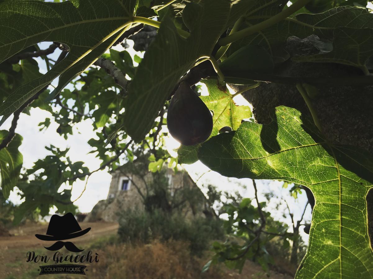 Don Giacchi Country House Catanzaro Bagian luar foto